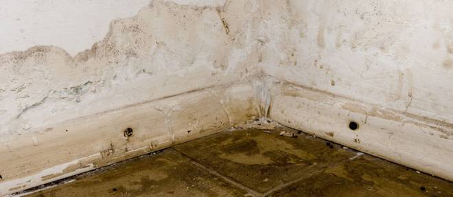 Flood Water Damage On Standby 24 7 1hr Response Ice Flood Water Damage On Standby 24 7, Is Water Damage In Basement Covered By Insurance Uk