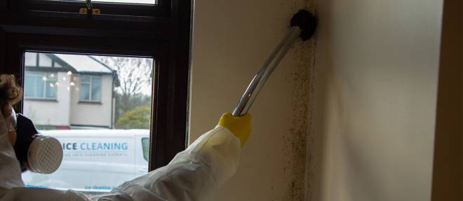 How to Clean Mold from Window Sills - Advantage Pro Services