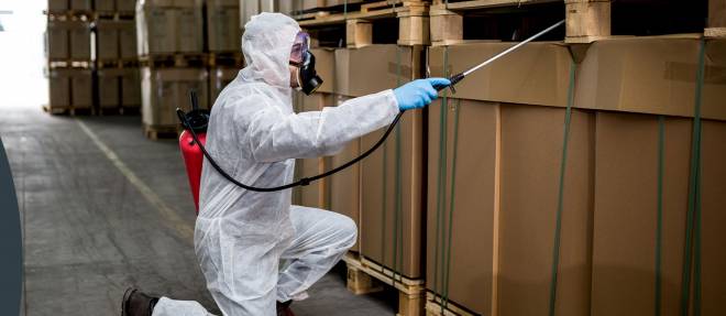 Rodent Pest Control - Birmingham | ICE Cleaning