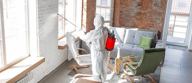 professional biohazard cleaning team sanitising trauma scene