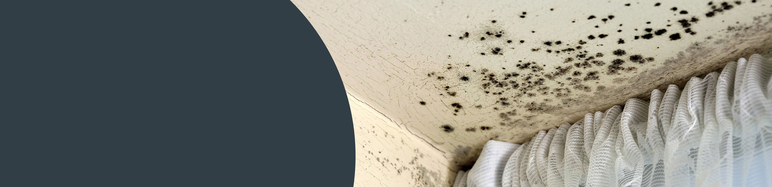 Mould Cleaning - Barking & Dagenham