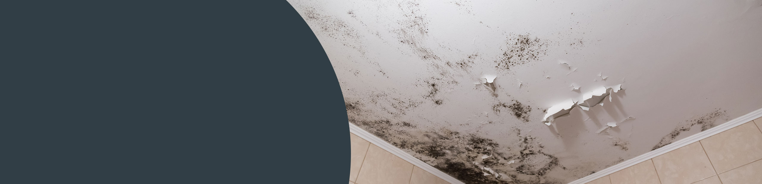 Mould Cleaning - Ealing
