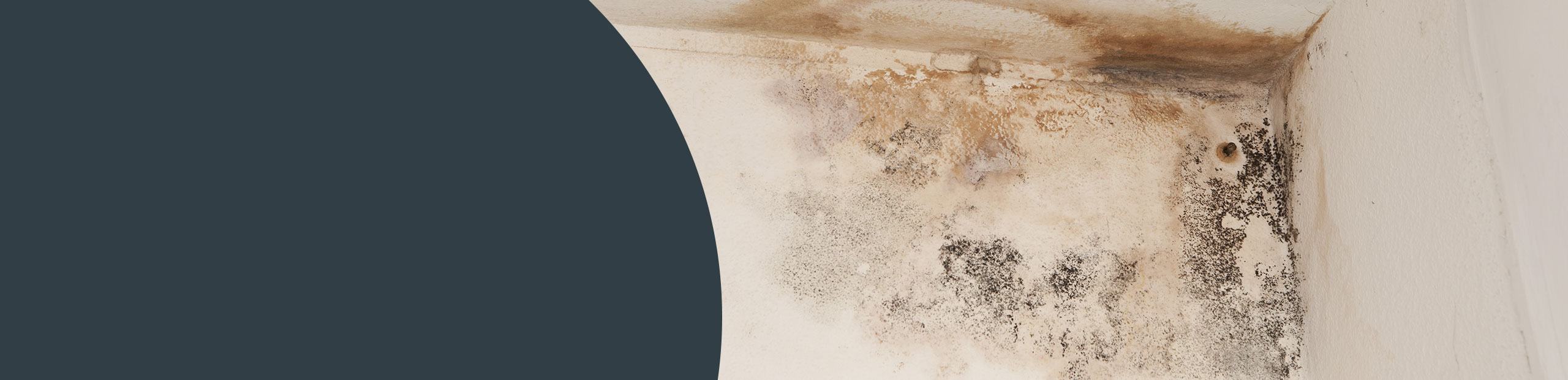 Mould Cleaning - Hammersmith & Fulham