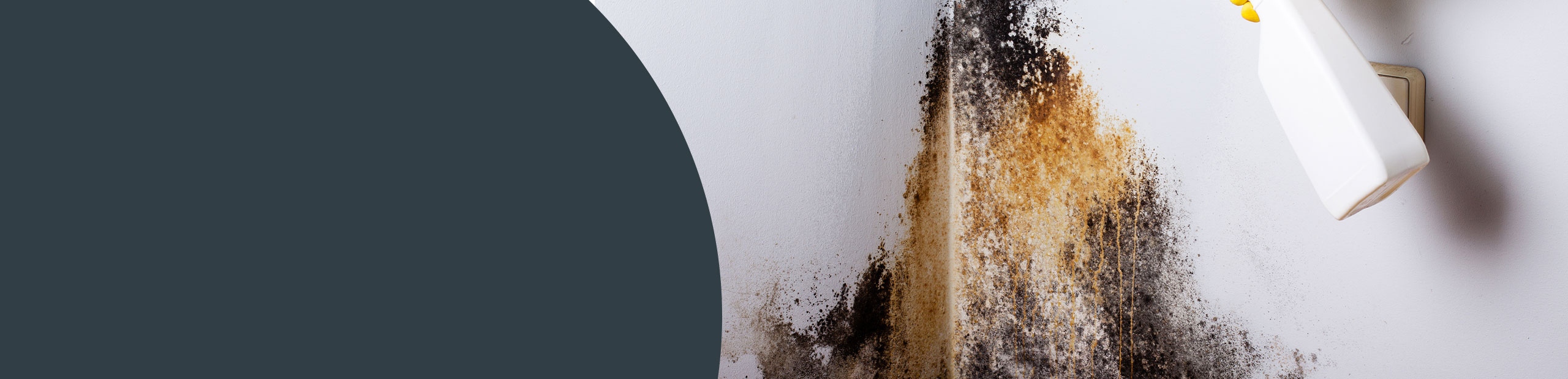 Mould Cleaning - Islington