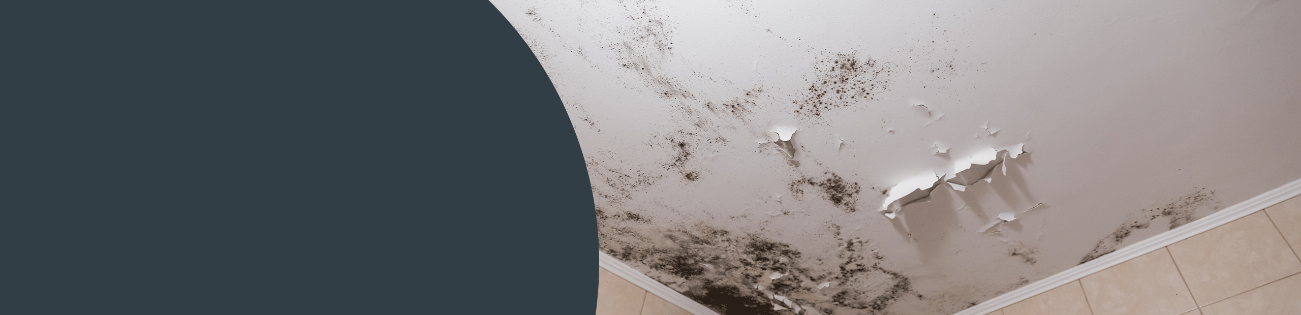 Mould Cleaning - Leeds