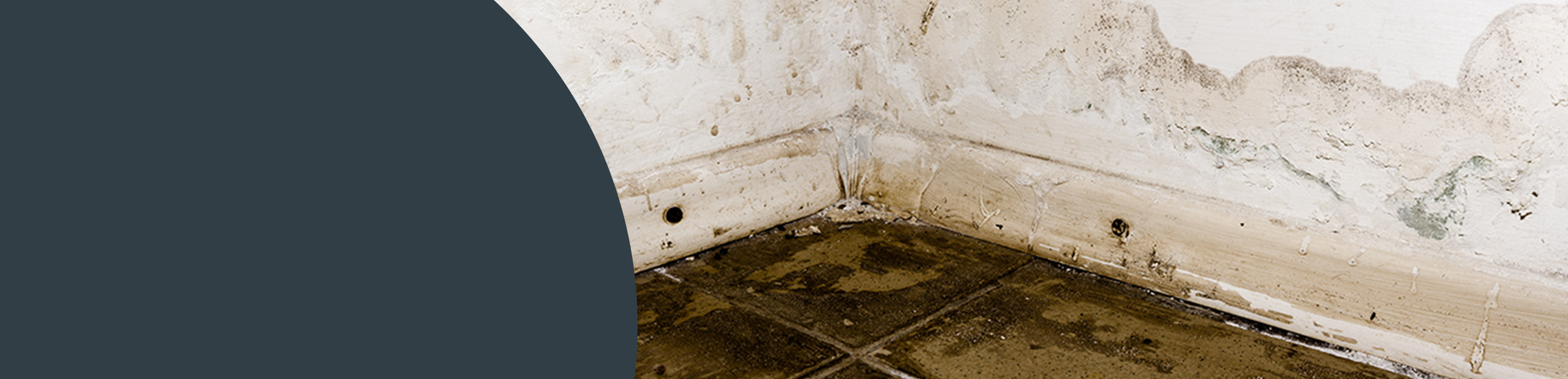 Mould From Flooding Removal