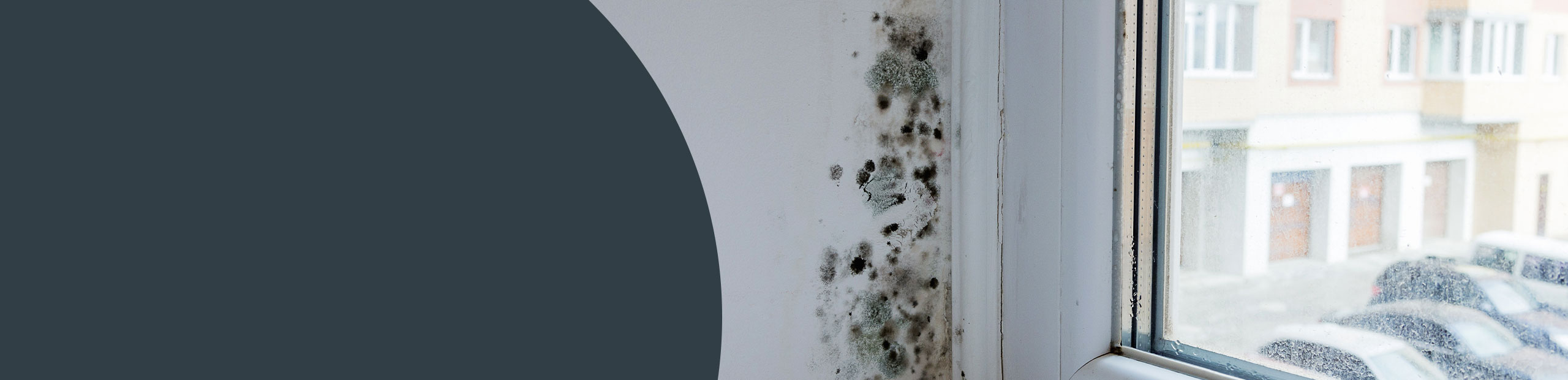 Mould Remediation - Banstead