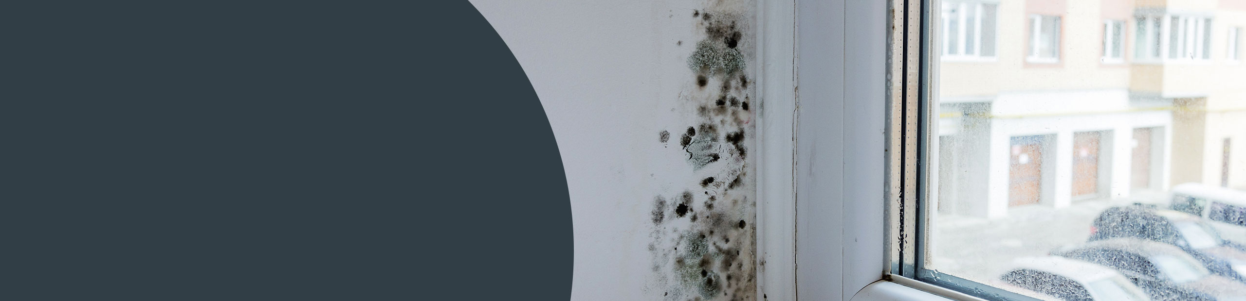 Mould Cleaners Guildford