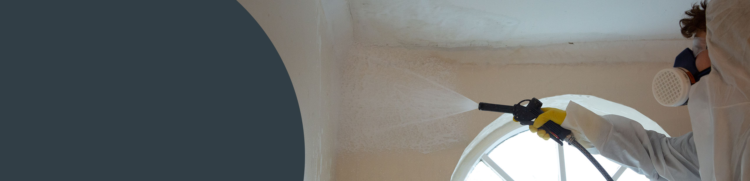 Mould Remediation Surrey