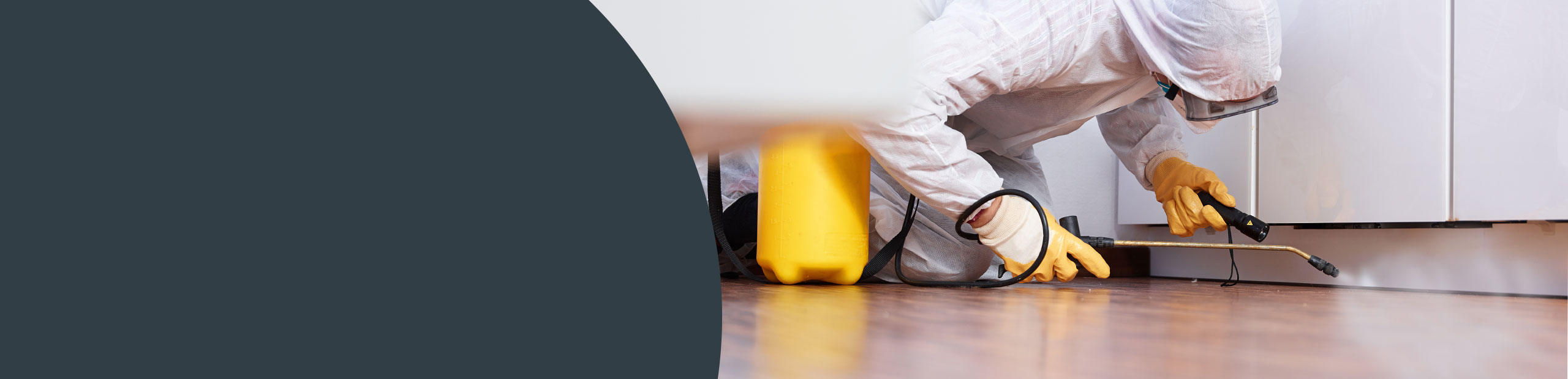  Pest Control - Hammersmith & Fulham