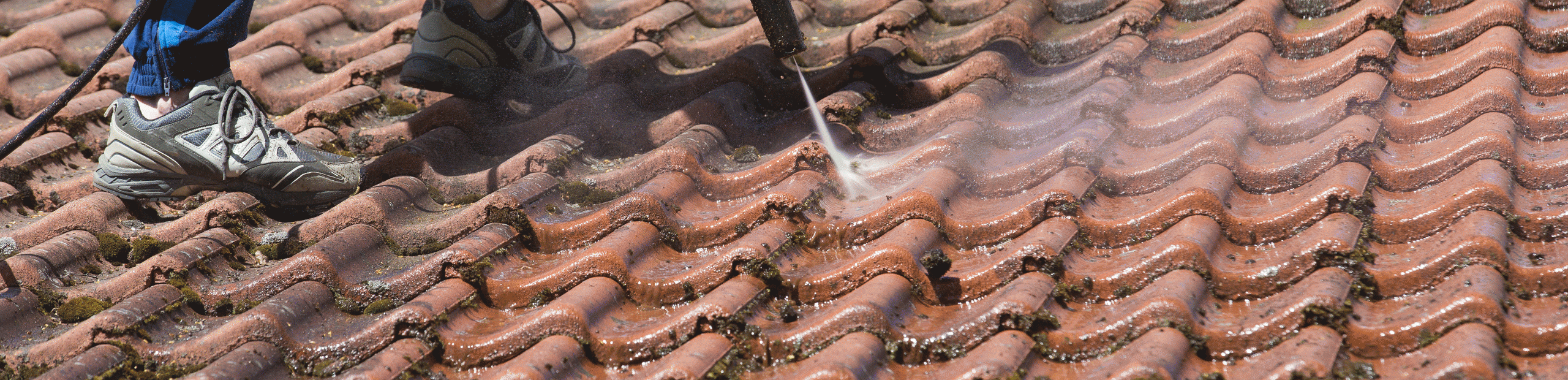 Roof Cleaning FAQ Background