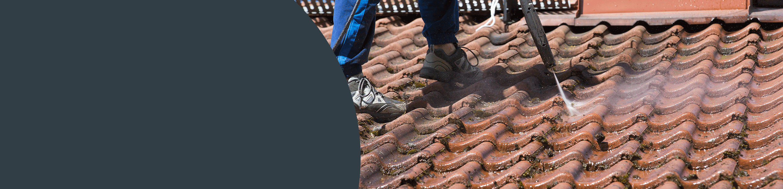 Roof Cleaning