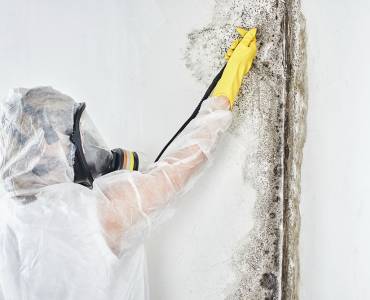 Black Mould Inspections And What They Mean