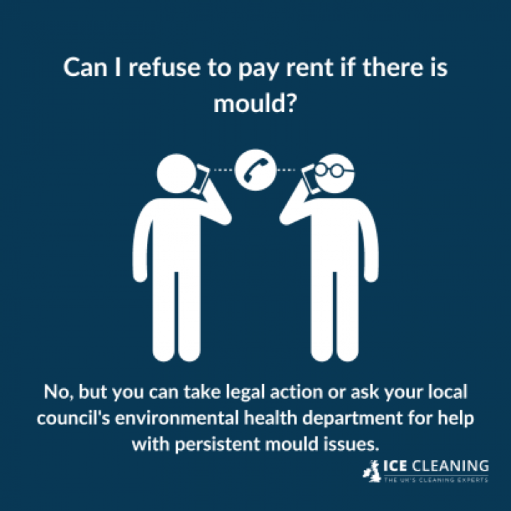 Can Landlords Be Fined For Ignoring Mould?