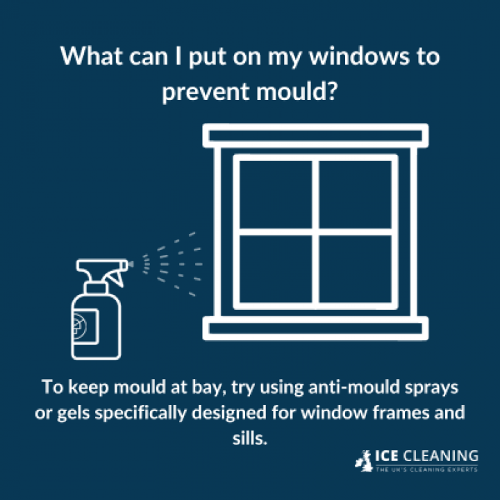 Do Double Glazed Windows Prevent Mould?