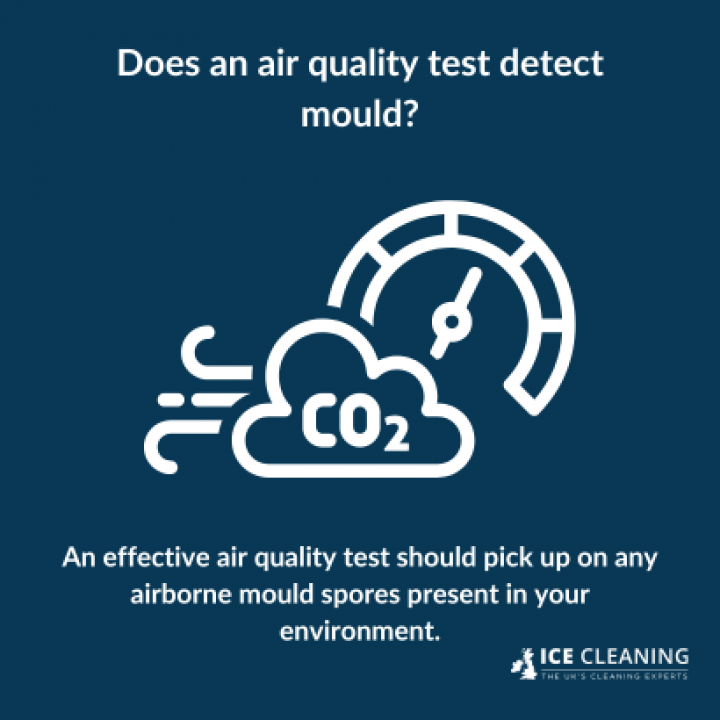 How Does Mould Impact Indoor Air Quality?
