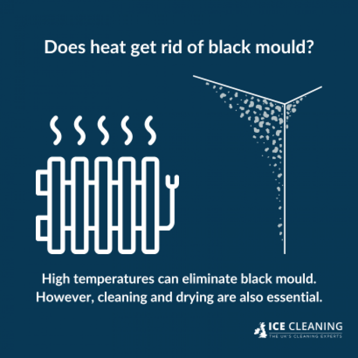 Does Heat Kill Mould?