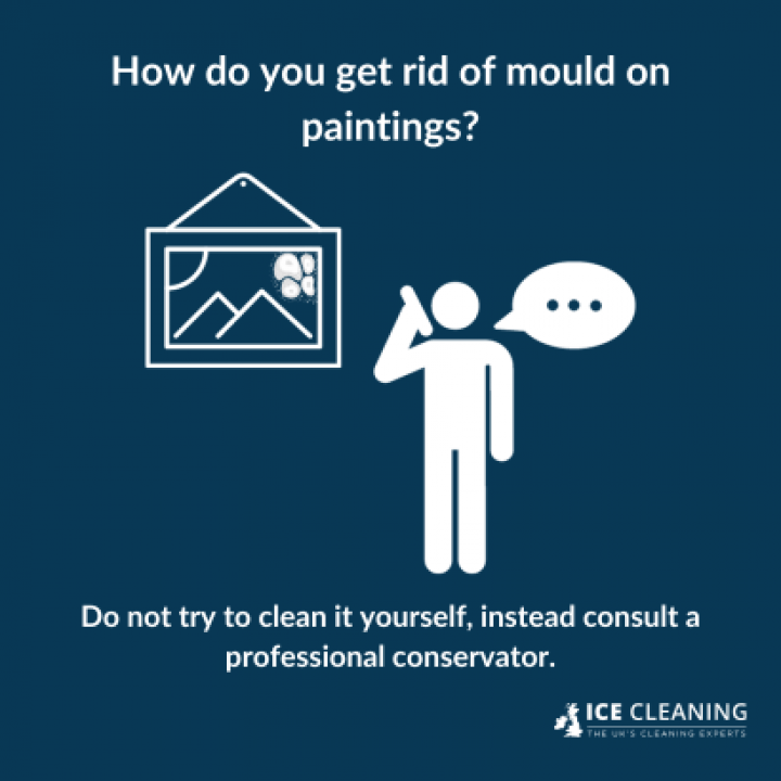 How To Prevent Mould From Growing On Paintings