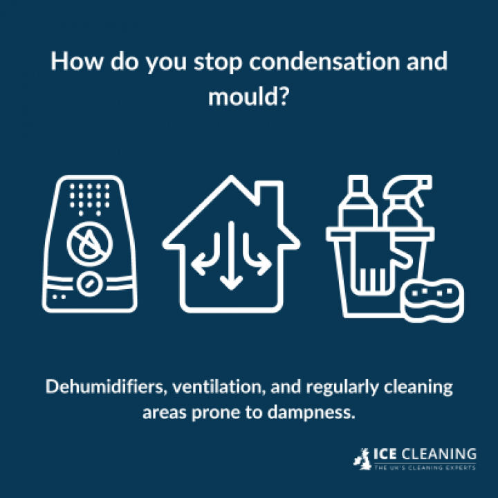 How To Prevent Condensation And Mould