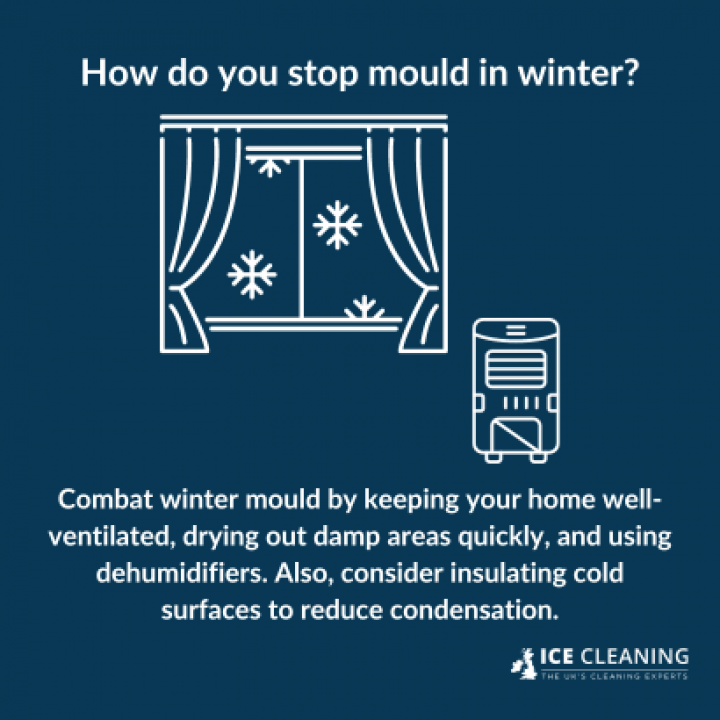 Can Mould Grow In Winter Or Cold Weather?