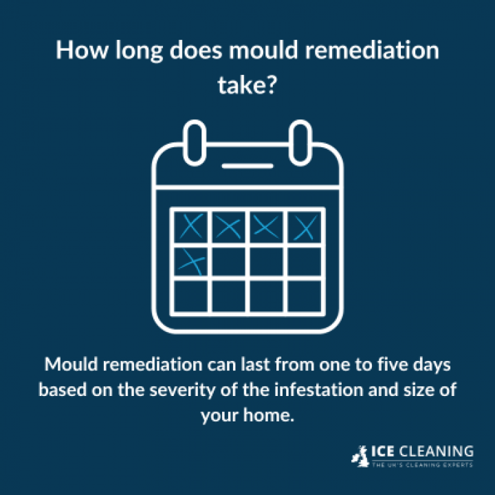 What Happens During Mould Remediation?