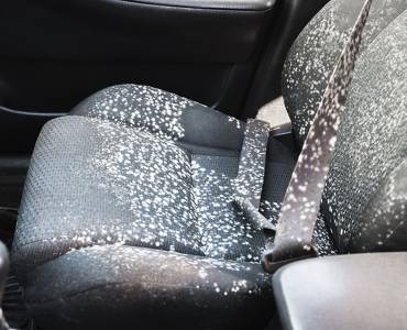 Mould on car seats