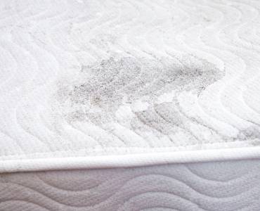 Mould on a mattress