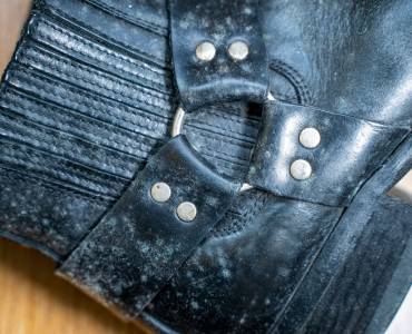 Mould on a leather shoe