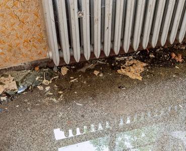 Decay in a flooded room