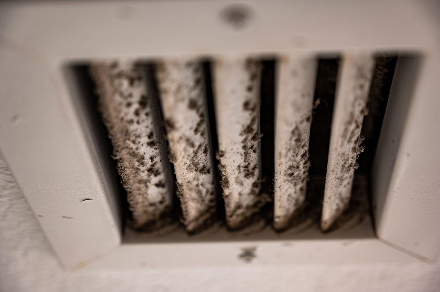 Air vent covered in mould