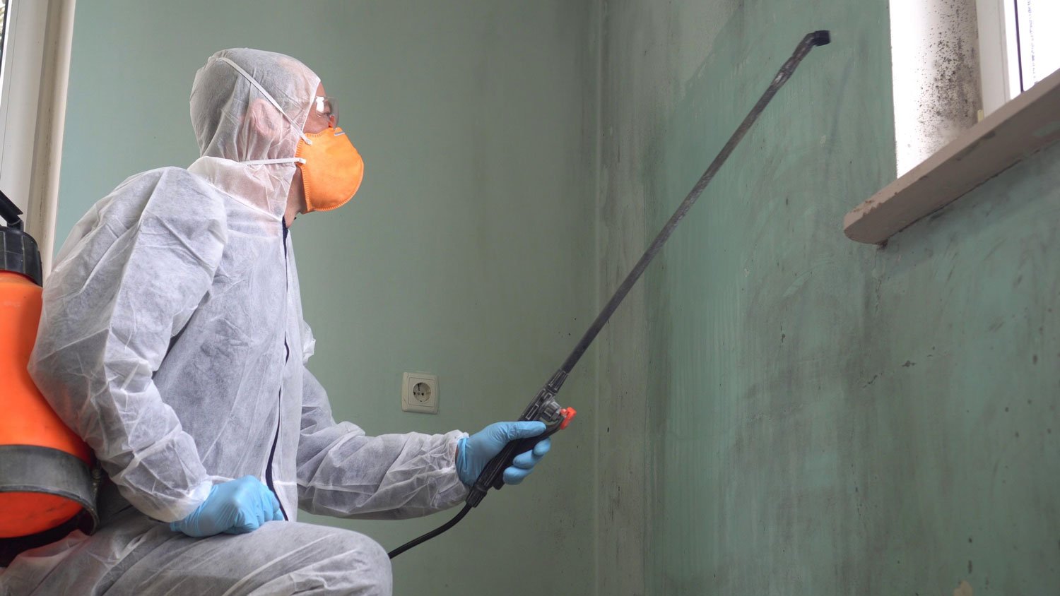 Man in PPE removing mould 