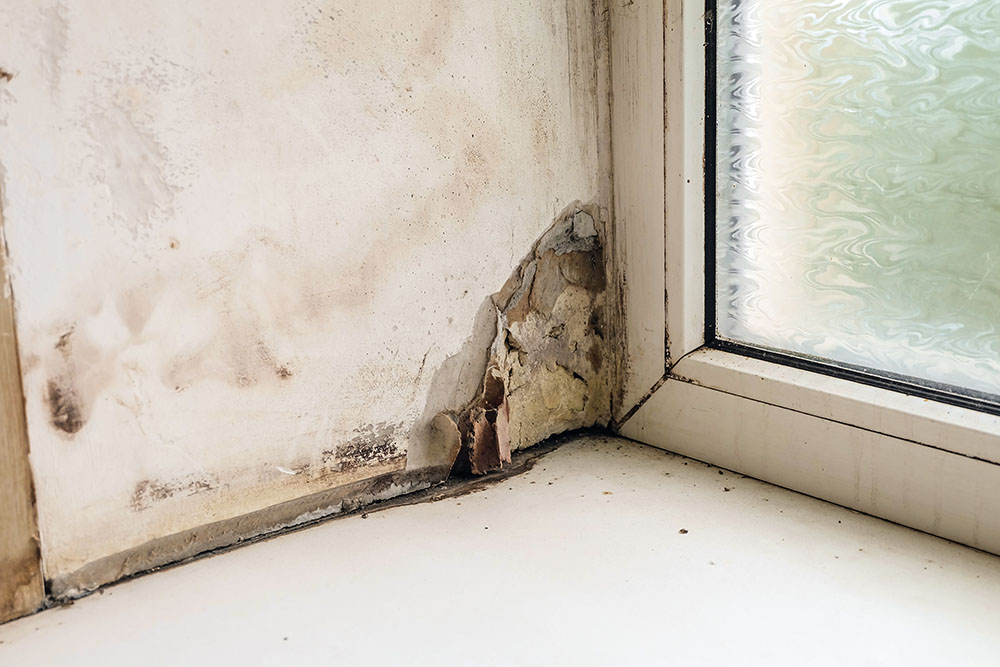 A wooden window sill rotting and peeling away