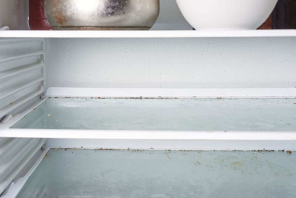 A fridge with mould inside of it
