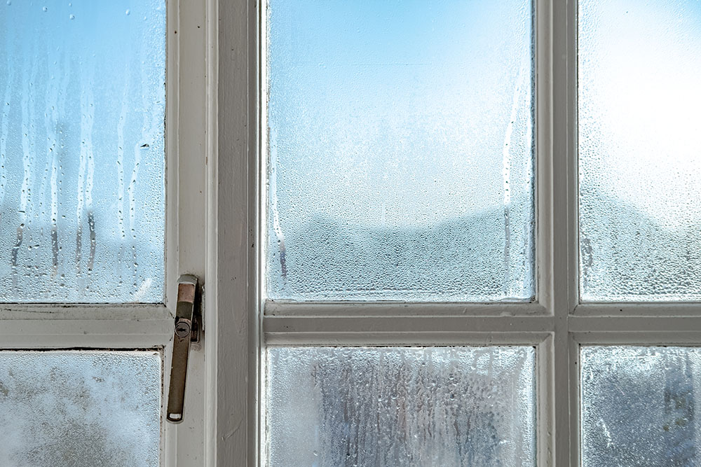 A wooden window frame covered in mould and condensation