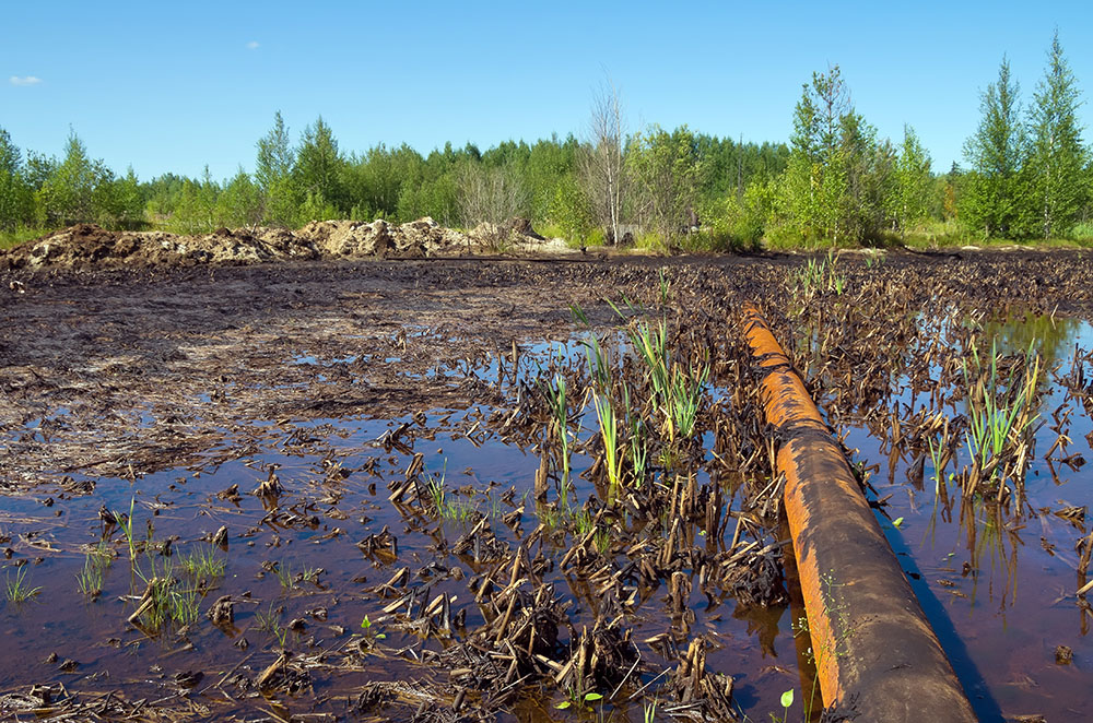 Oil spill in a marshland