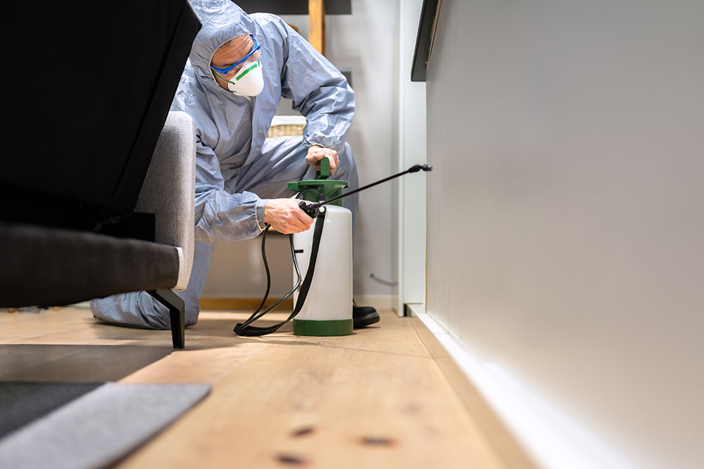 A pest exterminator working in a home