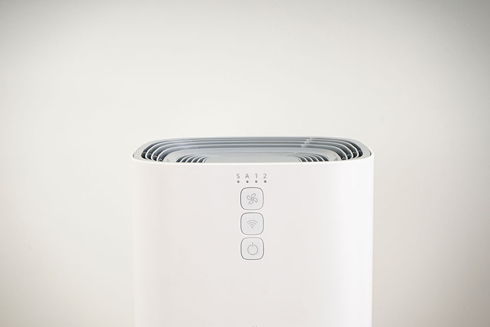 Air purifier with an ionizer