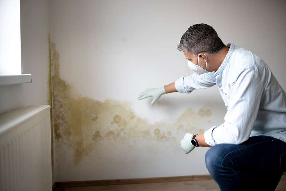 Man wearing a mask and gloves observes a damp patch