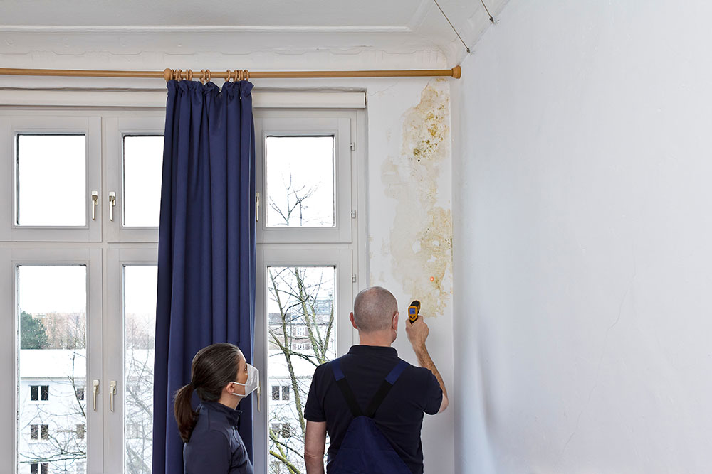 A landlord watching a damp survey take place