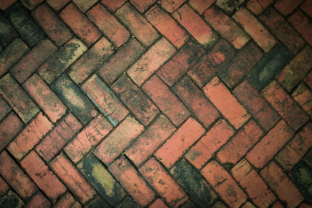 Algae on brick patio