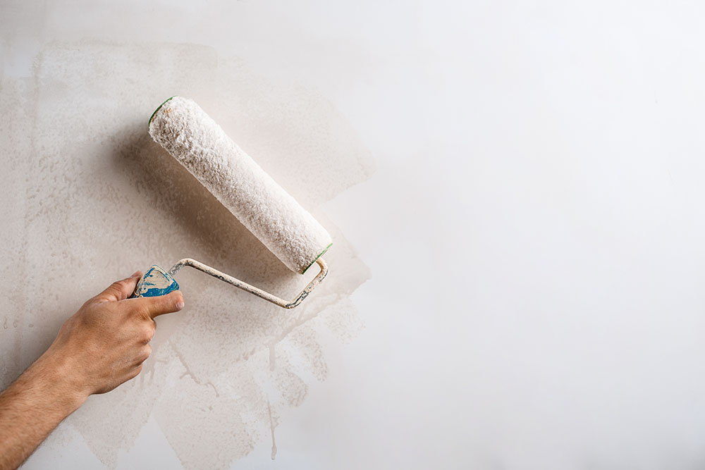 Person applying anti-mould paint onto a wall