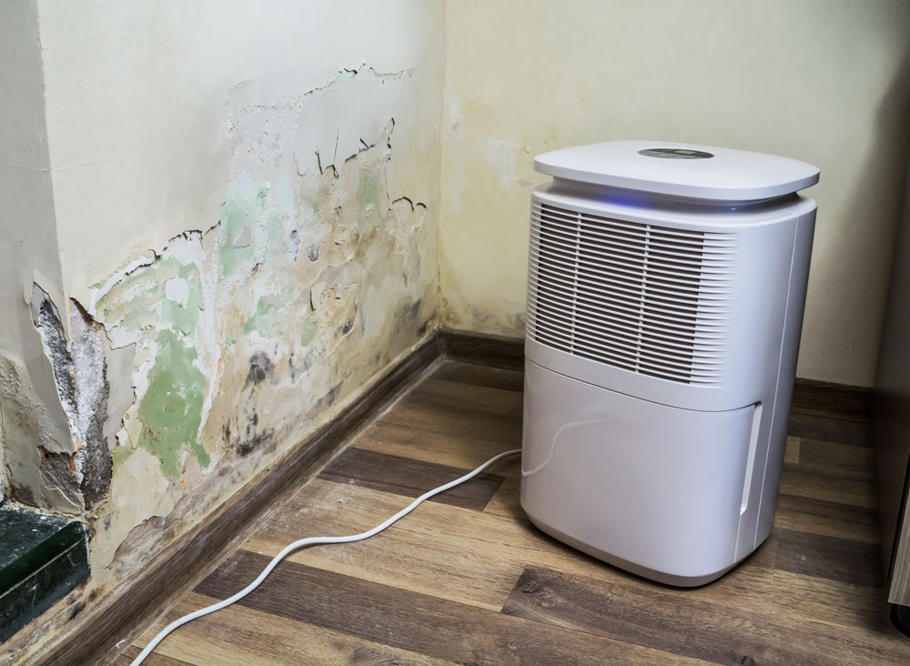 Dehumidifer next to mouldy wall