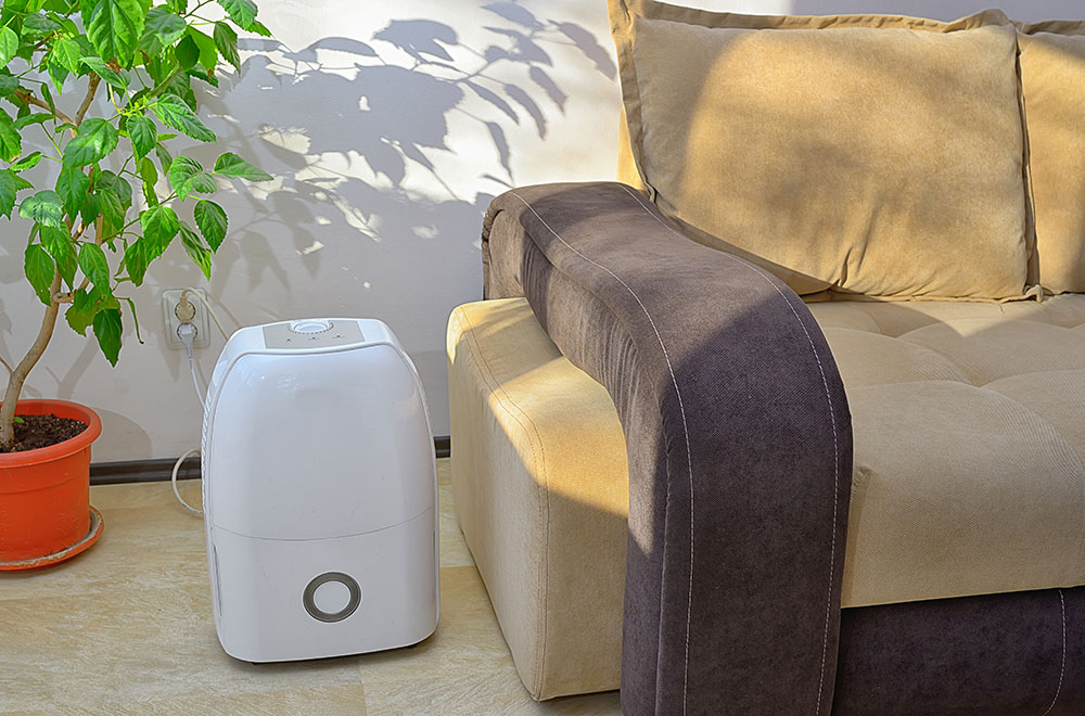 Small dehumidifier next to a sofa