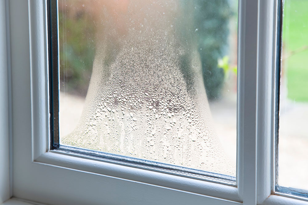 Will Opening Windows Reduce Mold?