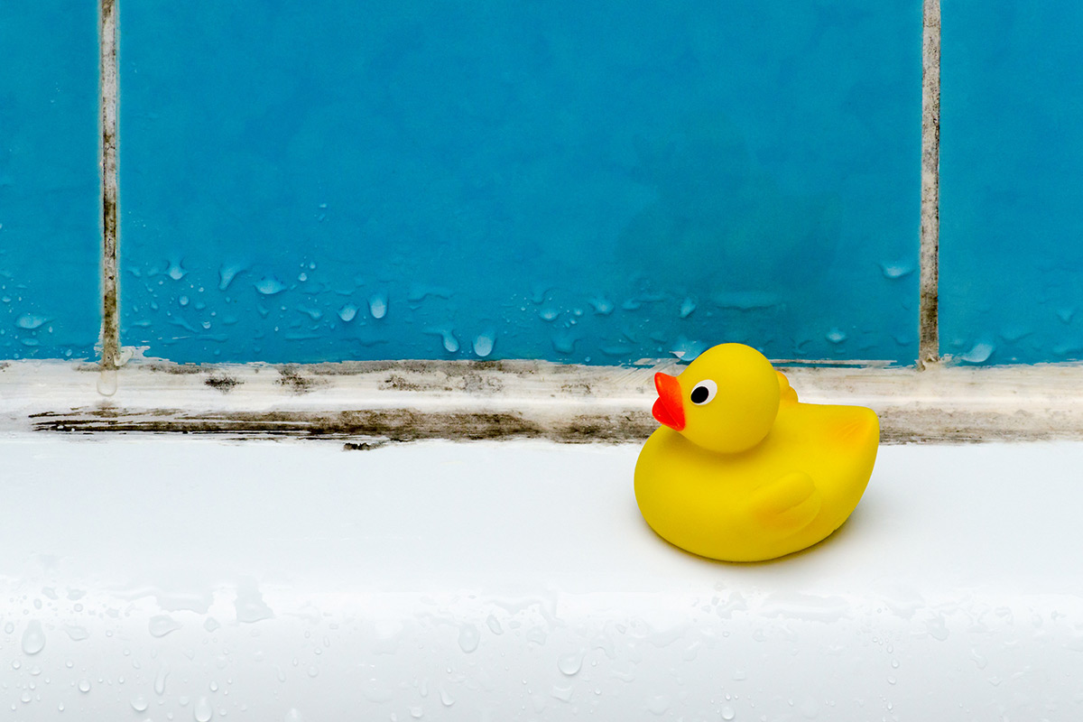 Rubber duck next to black mould on sealant and grout