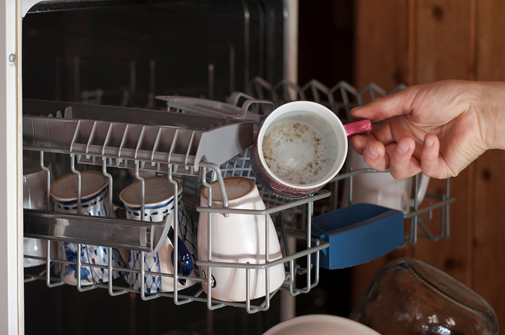 Mould inside of cup in the dishwasher