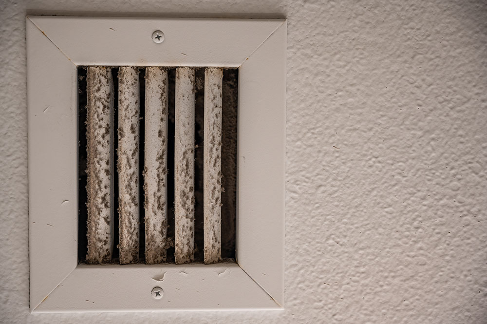 Mould growing on vent