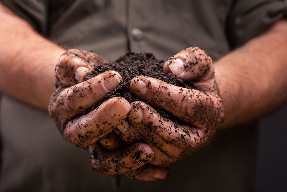 Person holding soil