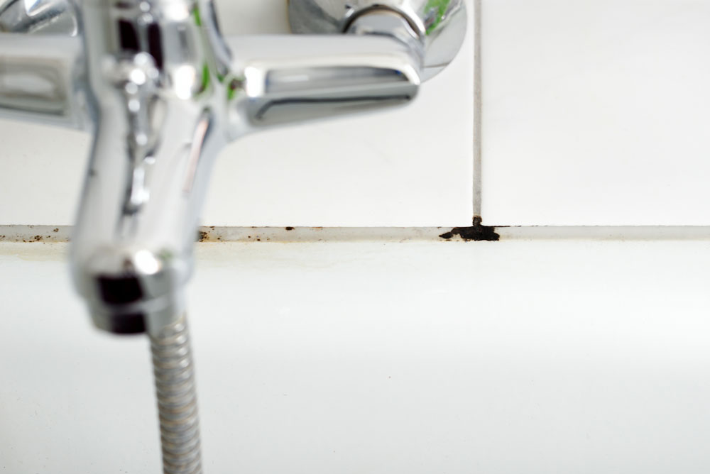 Black mould growing in grout by a bath