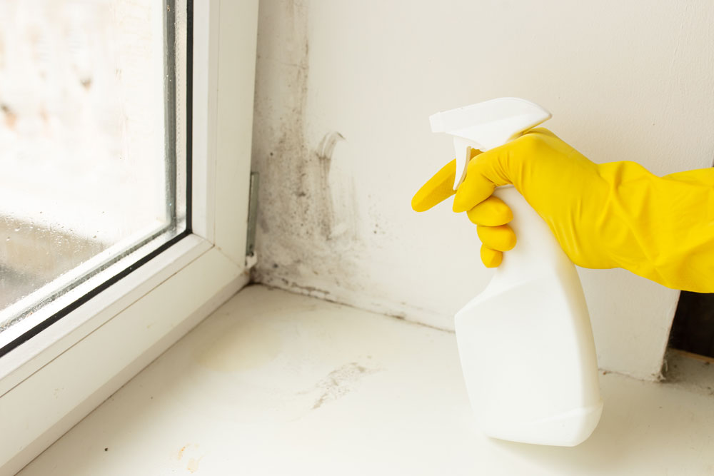 Cleaner spraying mould on windowsill